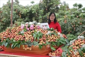 越南有关部门推出2025年荔枝销售方案