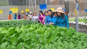 Bau Bang district integrates new rural construction with urbanization efforts