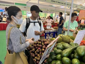 Tích cực tìm đầu ra cho sản phẩm địa phương - Bài 2