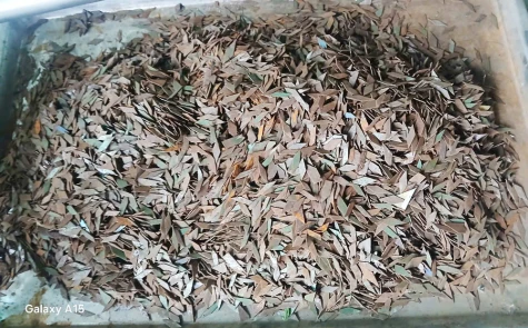 Lại tái diễn nạn “đinh tặc” trên Quốc lộ 1A