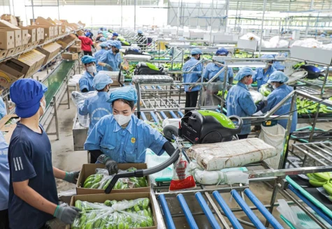 Huyện Phú Giáo: Nỗ lực phát triển nông nghiệp bền vững