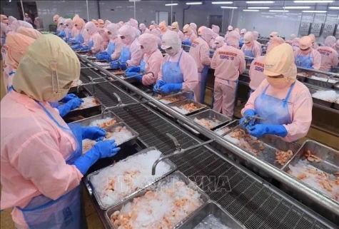美国公布对越南虾的反倾销税行政复审初裁 越方对此深表担忧