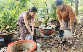 Huyện Phú Giáo: Diệt lăng quăng, tổng vệ sinh môi trường