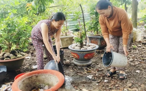 Huyện Phú Giáo: Diệt lăng quăng, tổng vệ sinh môi trường