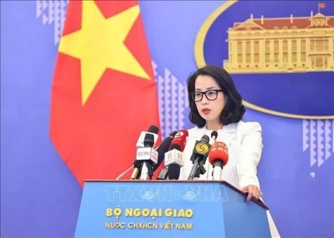 越南致力于提升发展中国家国际话语权