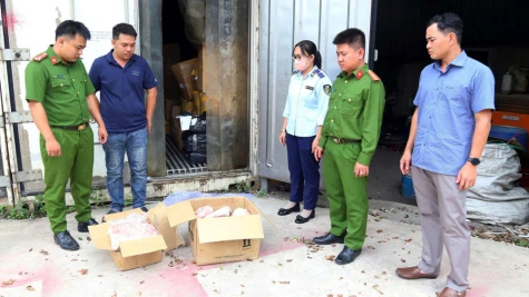 Kiên quyết xử lý vi phạm vệ sinh an toàn thực phẩm