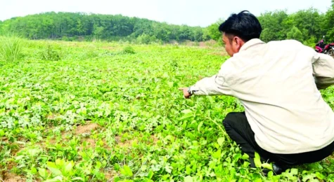 Journalism contributes to green economic development