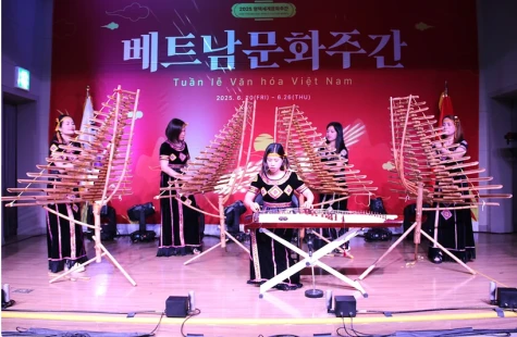 Vietnamese culture takes centre stage in Korean city