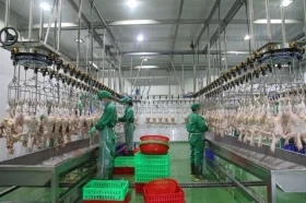 Tay Ninh aims to become southern Vietnam’s high-tech livestock hub