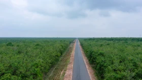 Công ty TNHH MTV Cao su Dầu Tiếng: Góp sức phát triển xanh