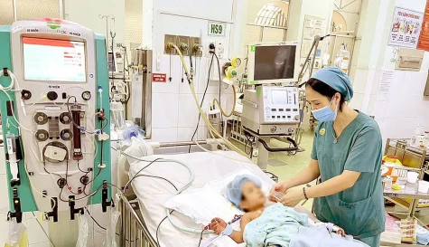Dịch sốt xuất huyết tăng nhanh, phức tạp