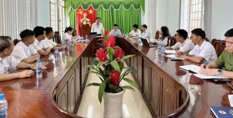 Chủ động phòng dịch tả heo Châu Phi